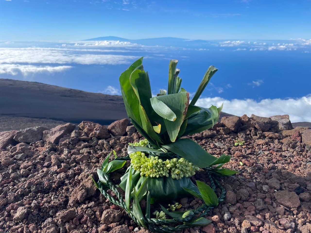 Sacred Land & Cultural Identity