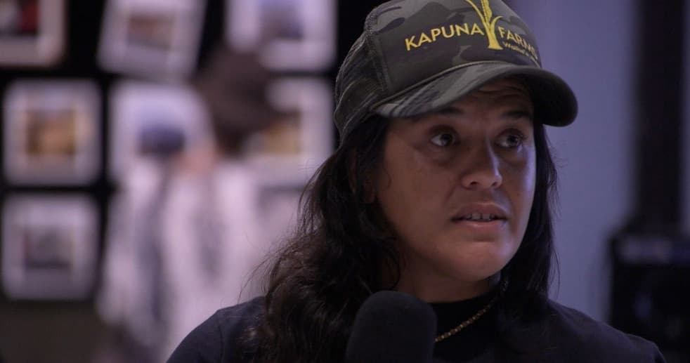 Pukalani Hearing photo 11